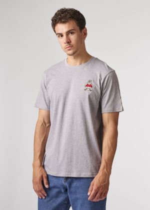 BTS574-L001S 204 GREY CHINE