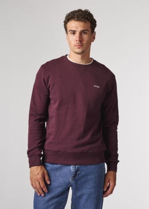 BSW098R-L008 313 BURGUNDY