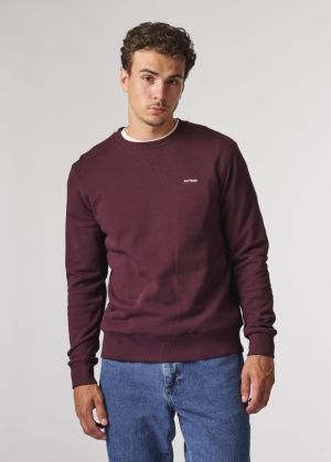 BSW098R-L008 313 BURGUNDY