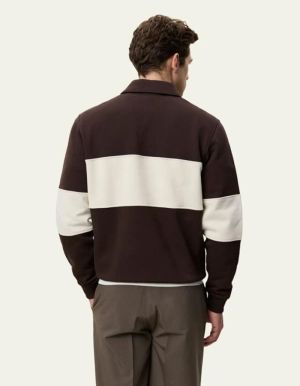 1002492 999 MOLÉ BROWN