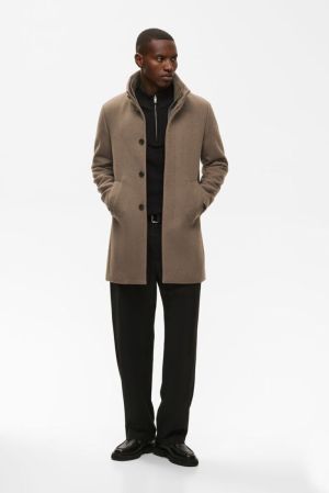 30203845 181112 WALNUT