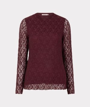 F26.30504 488 MERLOT
