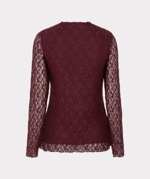 F26.30504 488 MERLOT