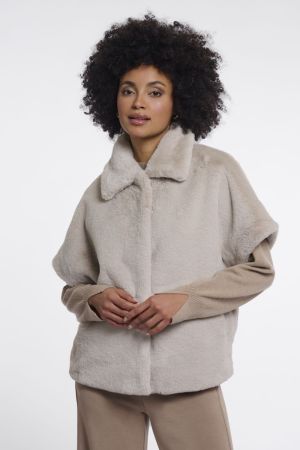 BODIL.7002611 BIRCH BIRCH