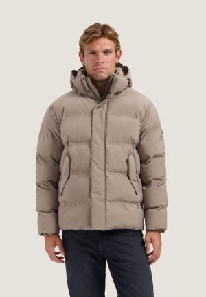 101602 277 WALNUT