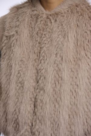 ALVITA.7002612 OAT OAT